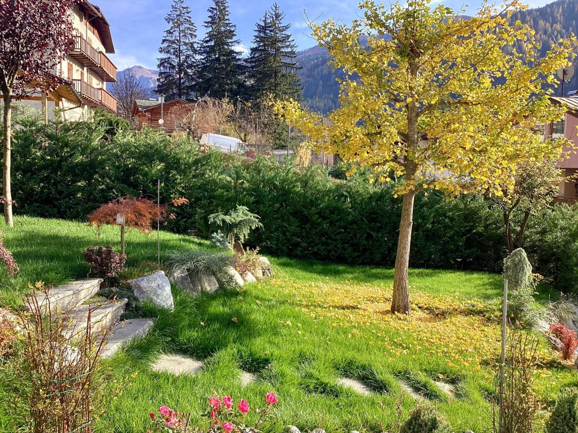B&b Villa Paradiso Mezzana  Exterior foto